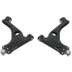 Holden/Saturn Astra TS/AH Front LCA Set (80 duro/ShA)