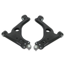 Holden/Saturn Astra TS/AH Front LCA Set (80 duro/ShA)