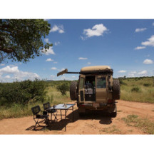 Movable Toldo Arm