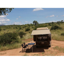 Movable Toldo Arm