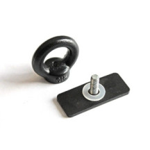 Fixação de carga Rings / Eye Nuts For Sistema de gavetas